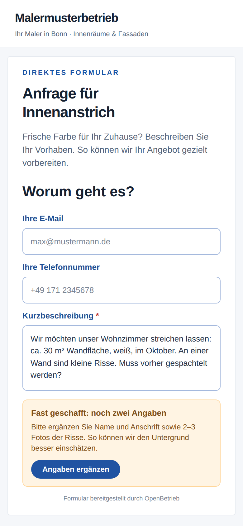 Beispielseite Malermusterbetrieb mit eingebettetem intelligentem Anfrageformular: 30 m² Wandfläche, weiß, Oktober. Das Formular bittet um Kontaktdaten und Fotos der Risse.
